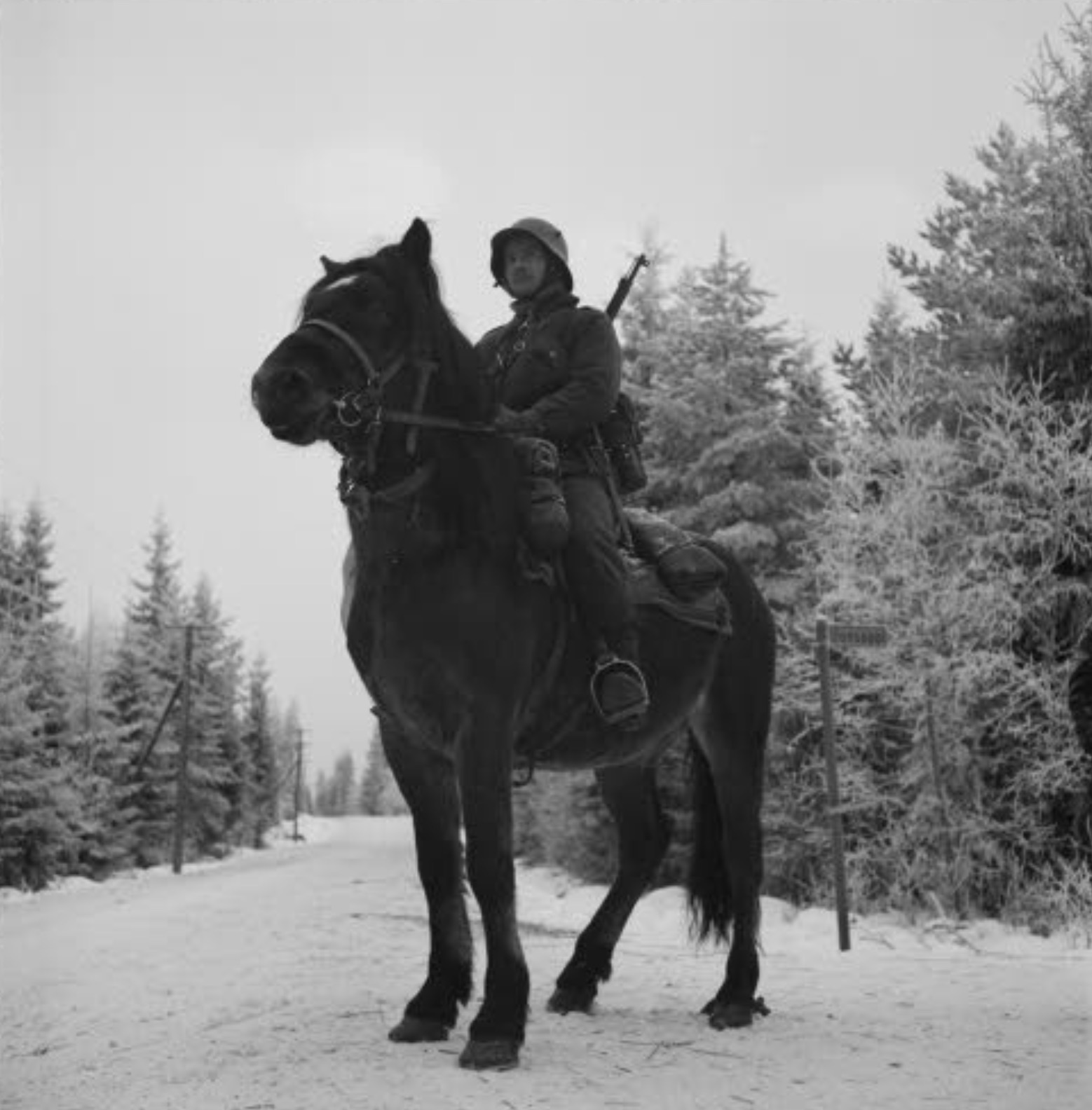 My great grandfather on a horse, medieval style, The Winter War, December, 1939